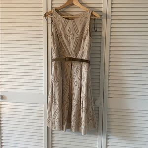 Muse for Boston Proper dress NWT